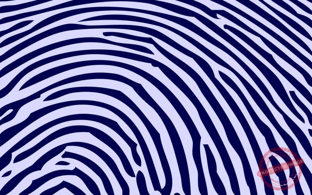 Fingerprint