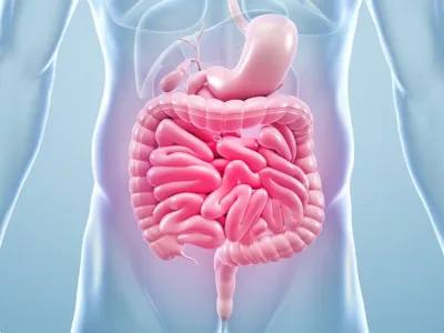 Probiotikų savybės (2) Probiotikų savybės