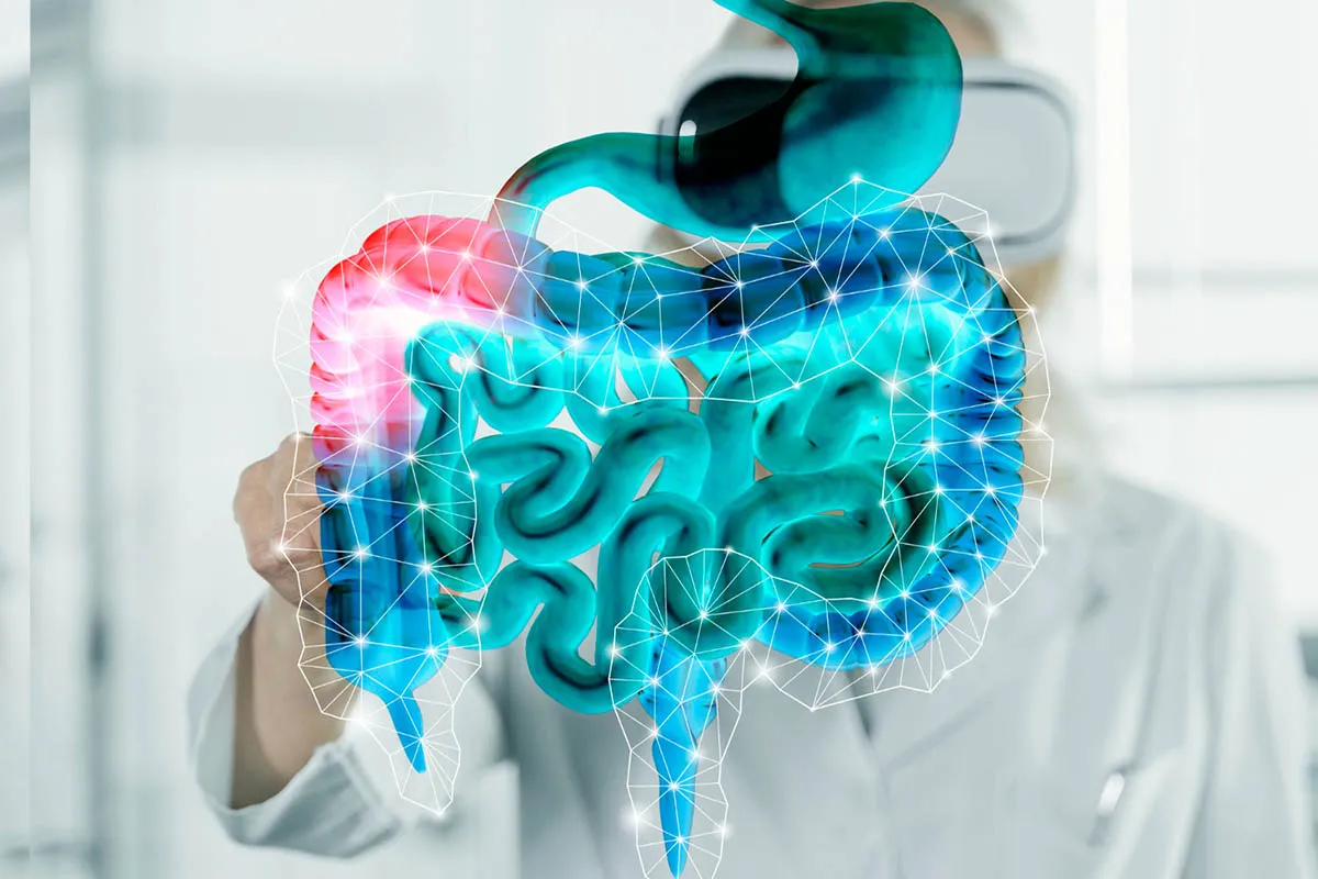 food 8 Straipsniai.lt