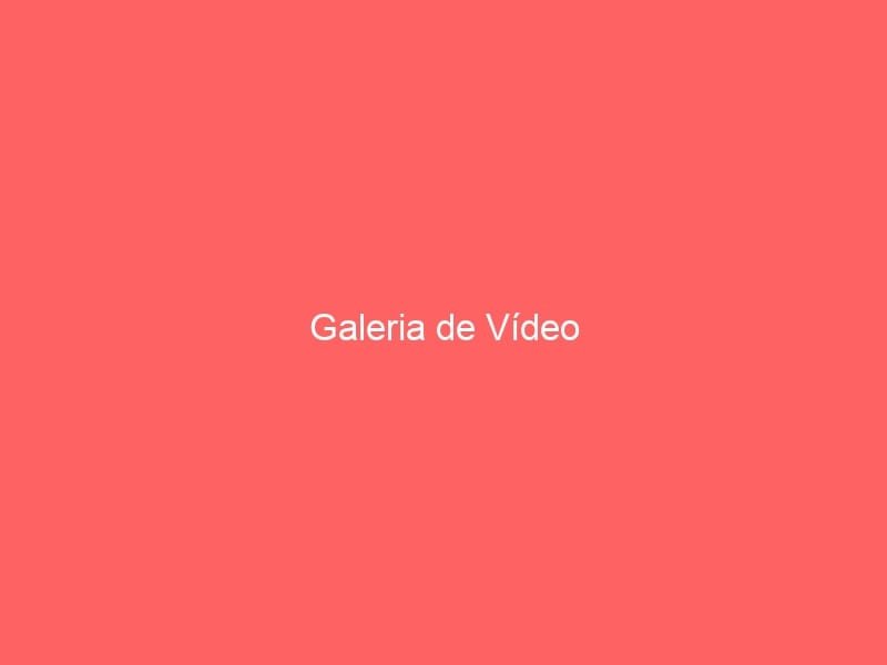 Galeria De Vídeo