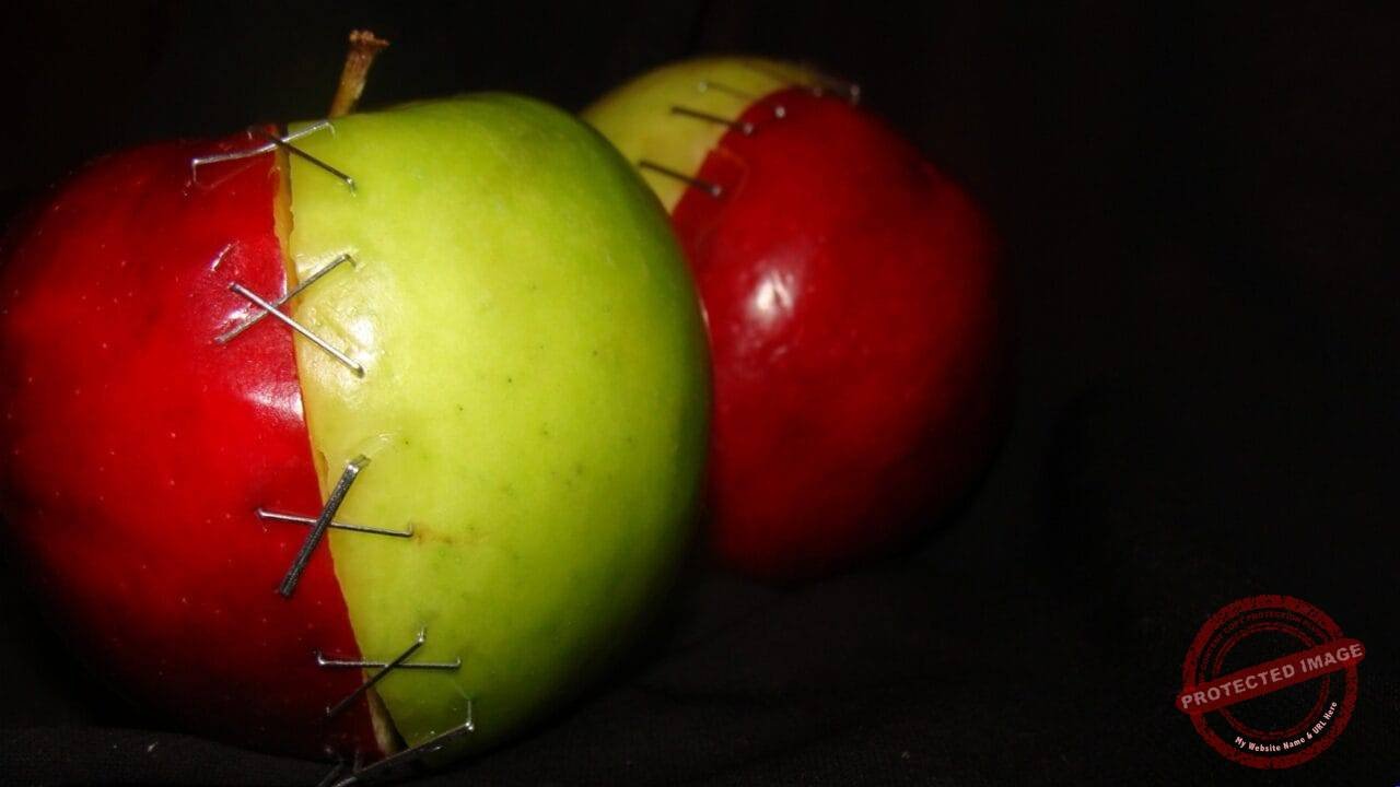GMO