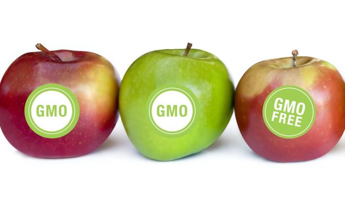 Eisime, velniuk, obuoliukų?.. Arba šis tas apie GMO: reklaminis blizgesys ir patiekalo skurdas…