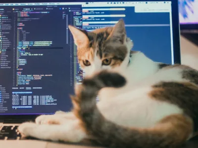 10 geriausių TVS platformų, kurias galima kurti 2026 m. (palyginimas)