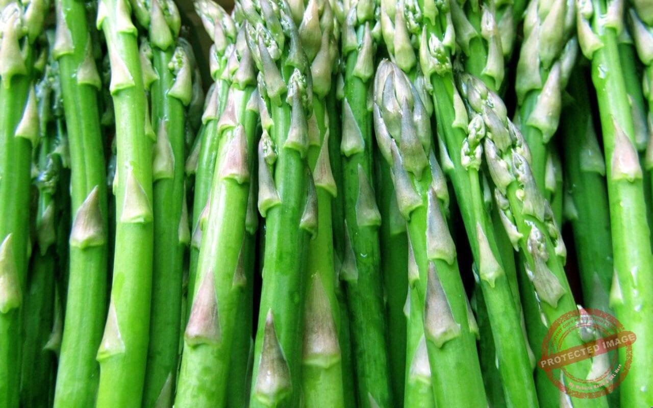 Green Bio Asparagus Buds Healthy Low Calories Sodium 1920x1200 99 Wide