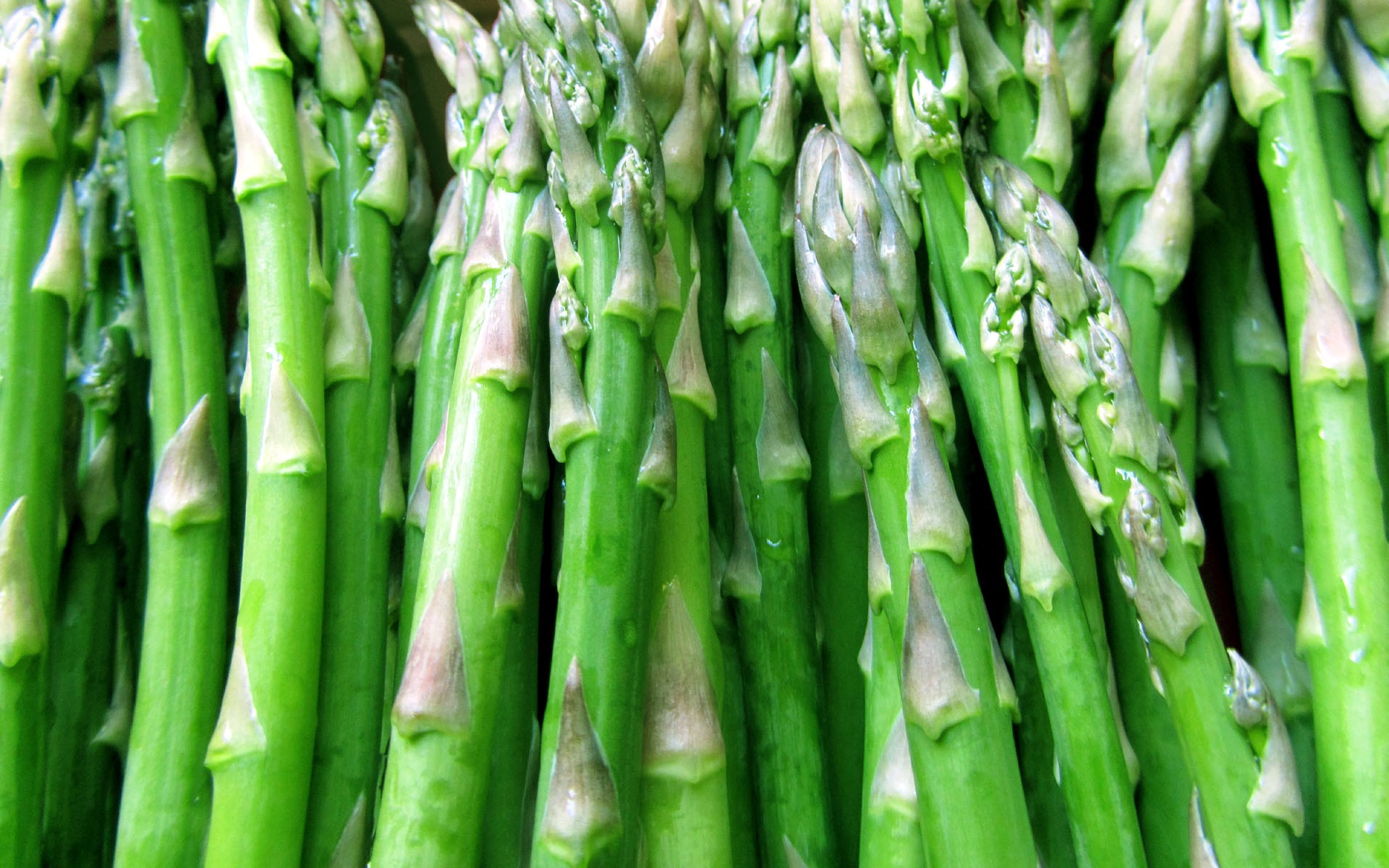 green bio asparagus buds healthy low calories sodium 1920x1200 99 wide Straipsniai.lt