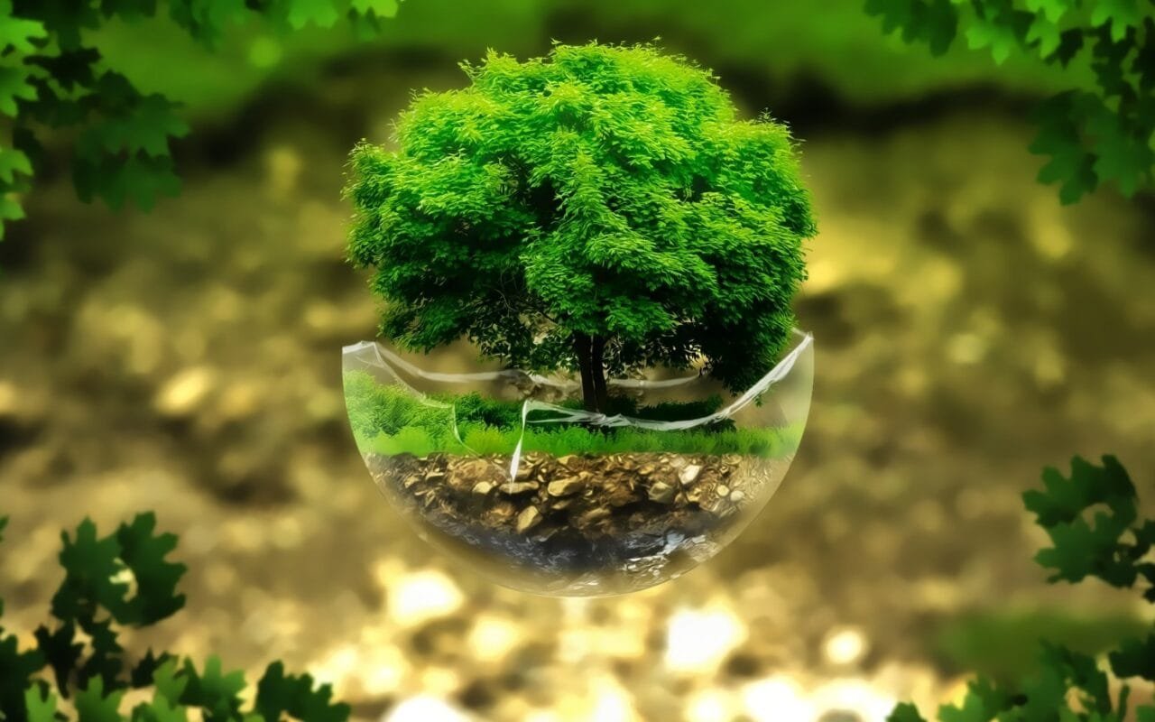 Green Tree Digitalart Nature