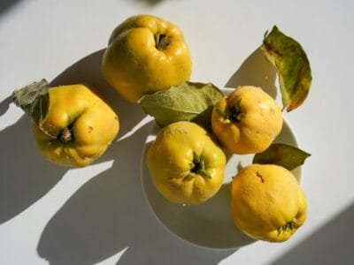 a white plate topped with yellow fruit on top of a table