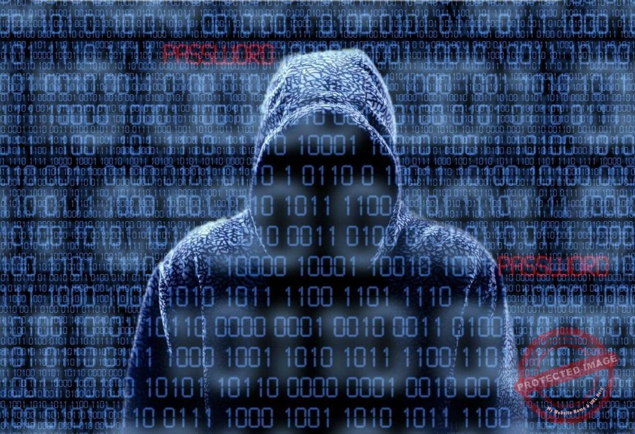 Hacker