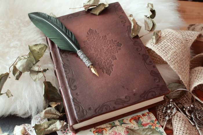 high-angle-shot-quill-pen-old-book-covered-with-dried-flower-petals_181624-15306