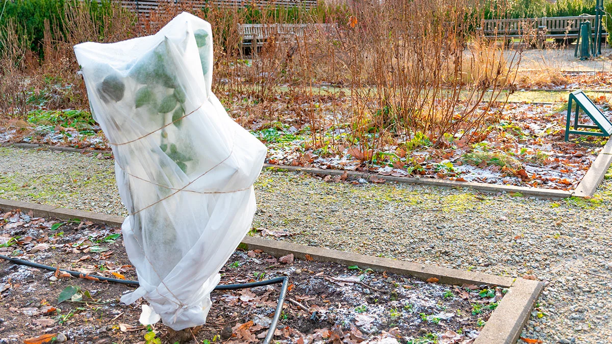 img 69eb9b75a2ce9 Straipsniai.lt