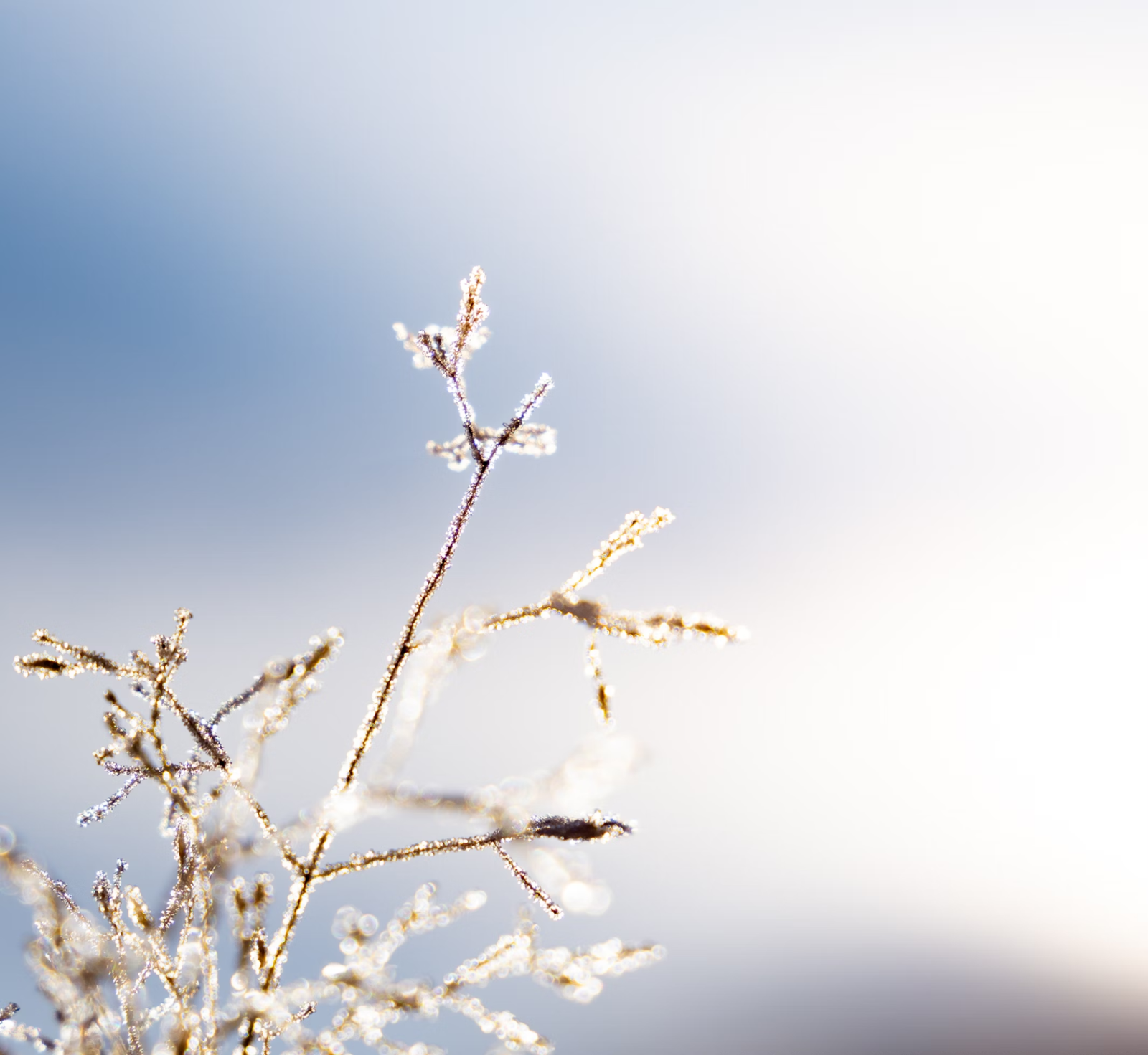 img 69eb9b76474ce Straipsniai.lt