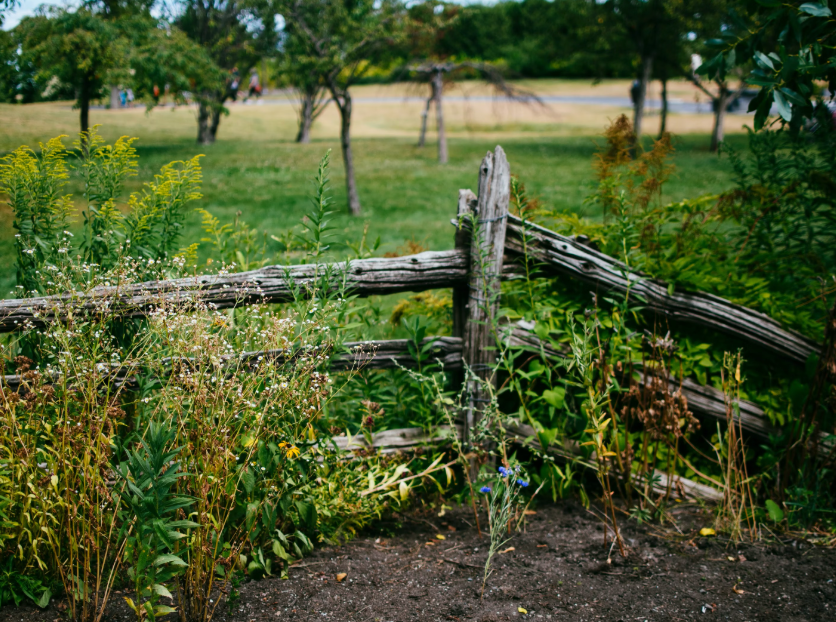 img 69eb9b81581f9 Straipsniai.lt