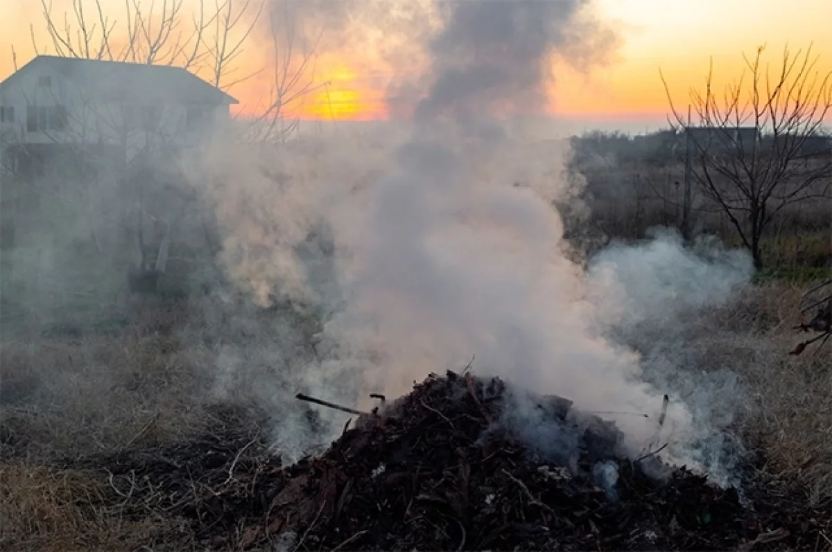 img 69eb9b8208733 Straipsniai.lt