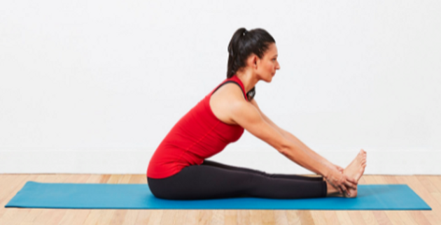 Seated Forward Bend (Paschimottanasana)