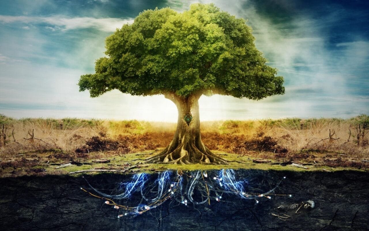 indoeuropieciai ir ju prokalbe life tree gyvybes medis Straipsniai.lt