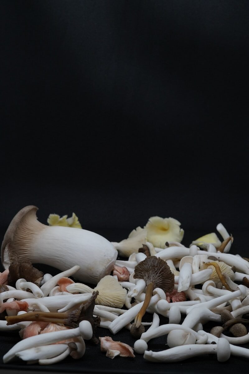 a pile of mushrooms sitting on top of a table