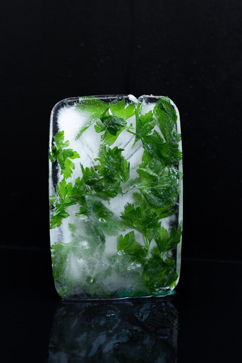 a glass with a plant in it