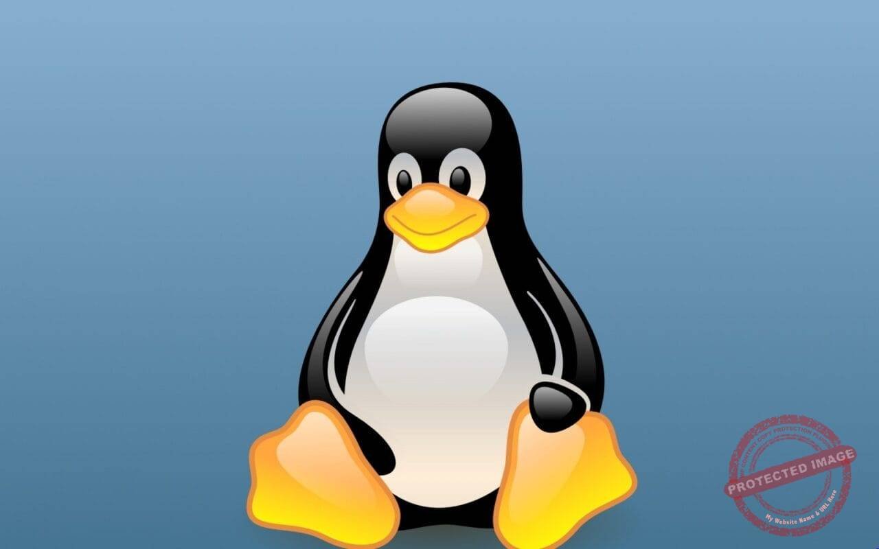 Linux Tux Penguins