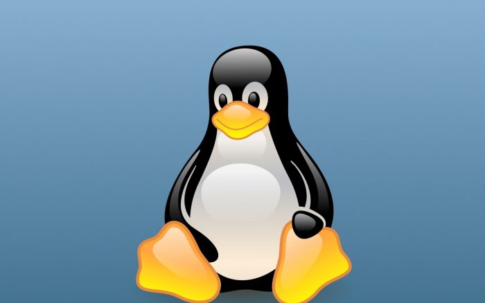Truputis istorijos apie Linux operacinę sistemą