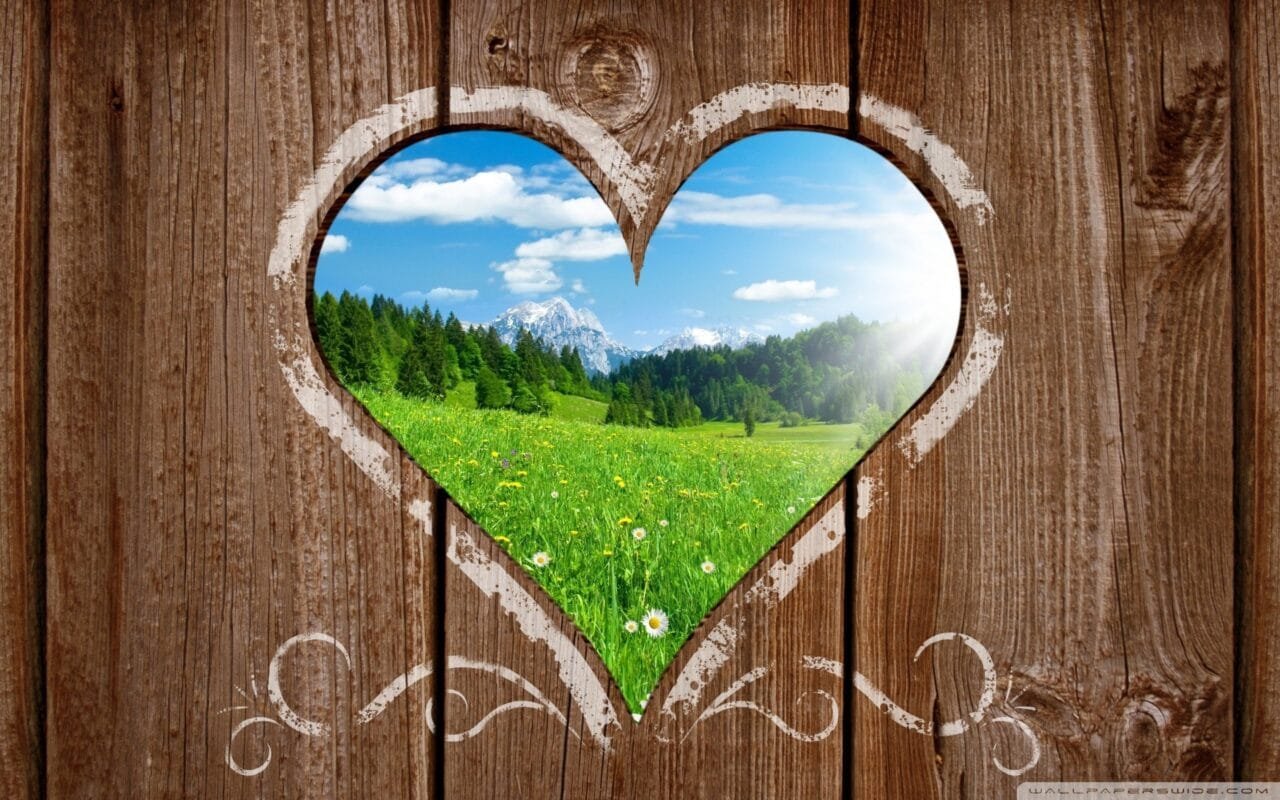 Love Nature