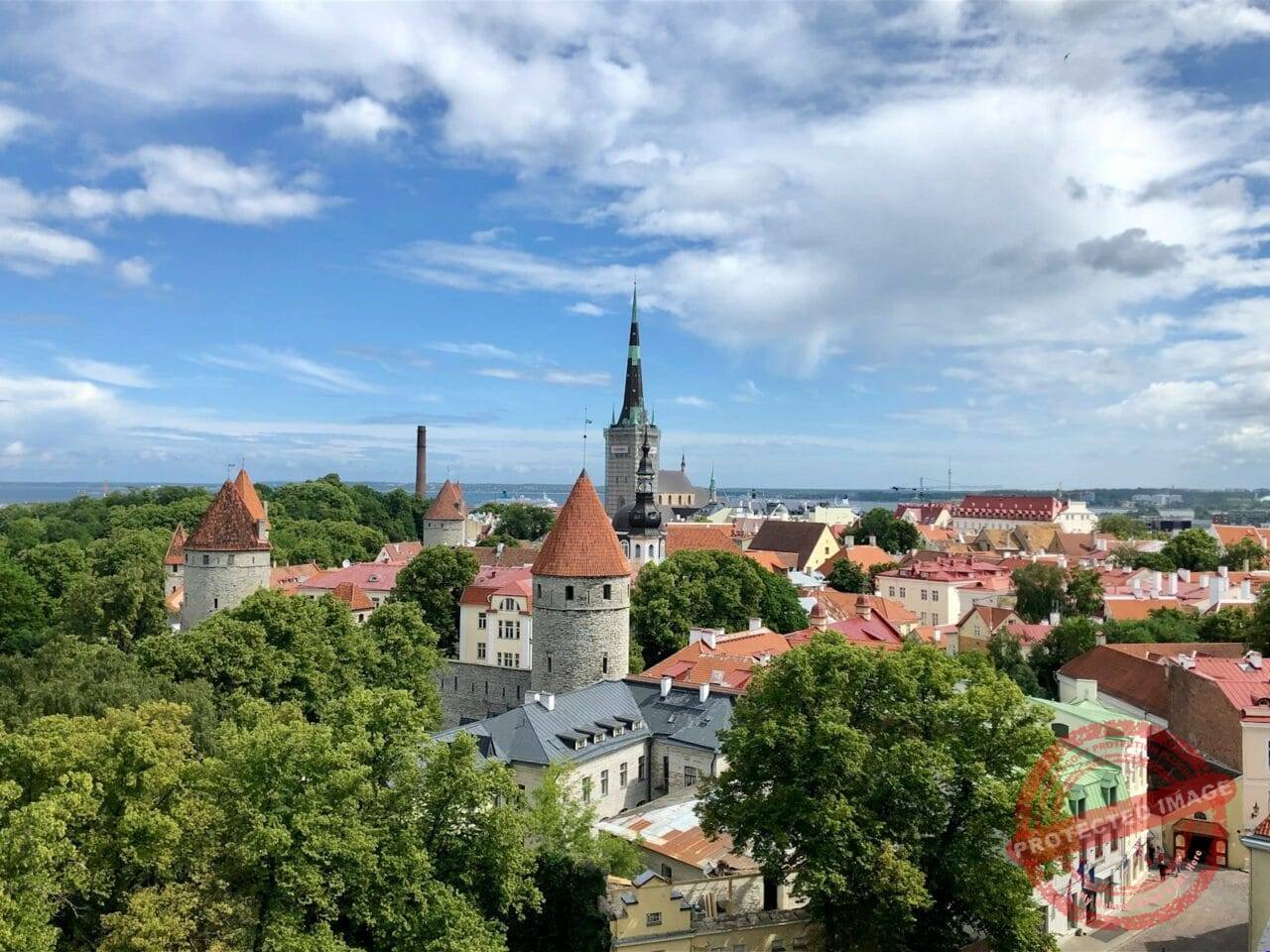 aerial photo of city building