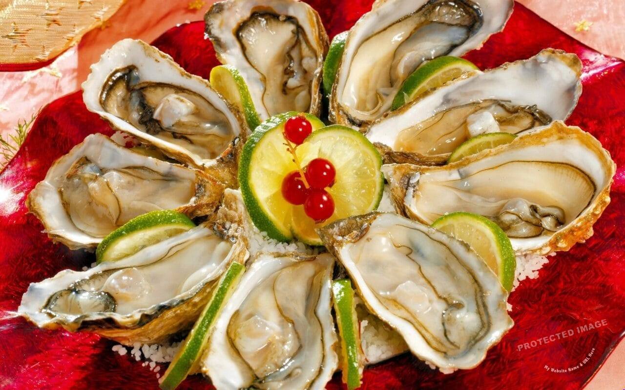 Oyster Seafood