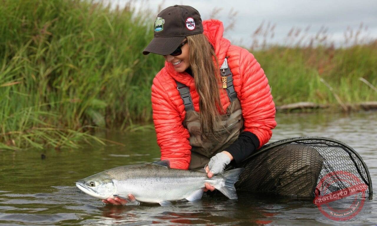 Sockeye Salmon Anglers Alibi Alagnak River Alaska