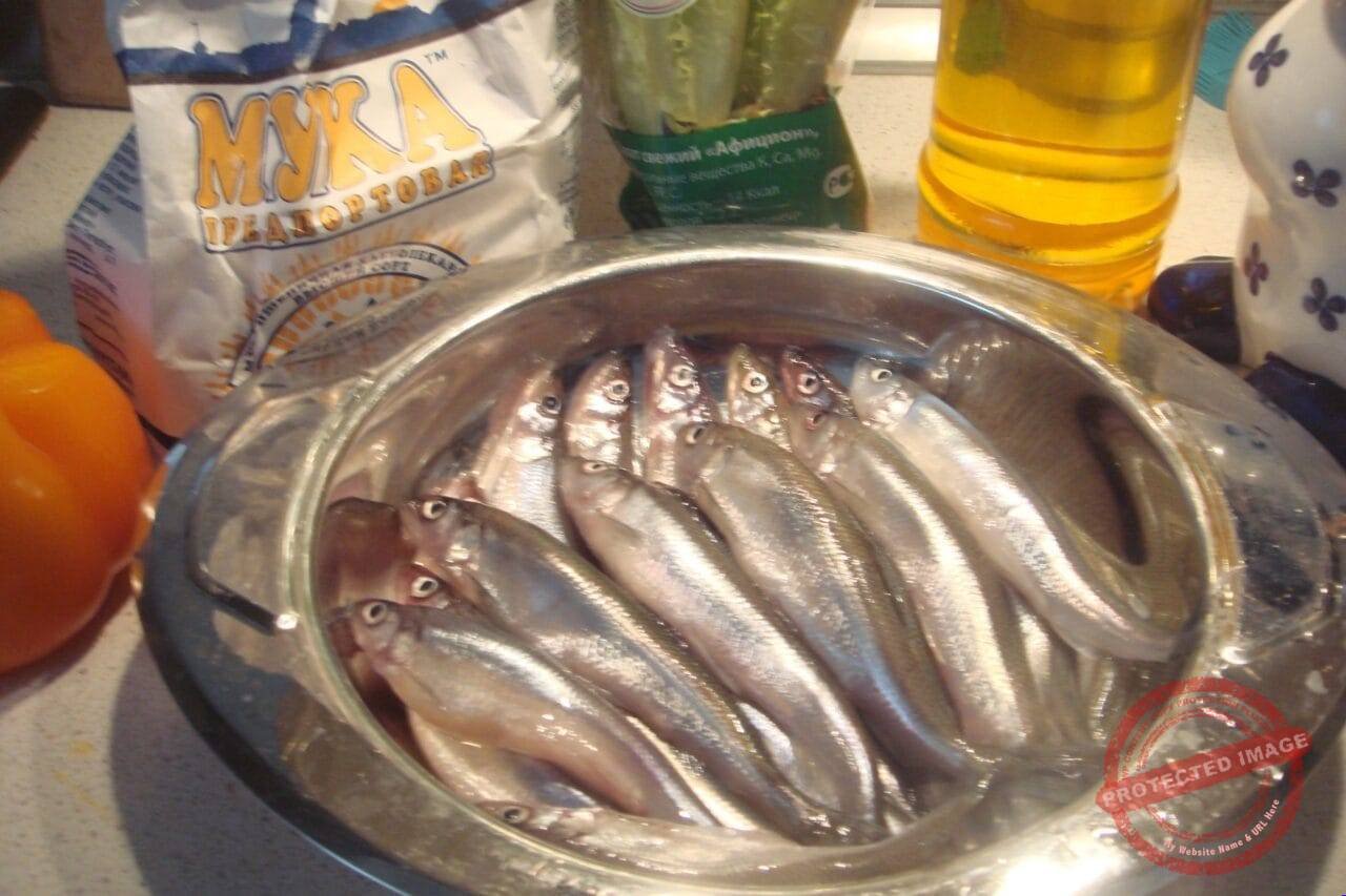 Stintos