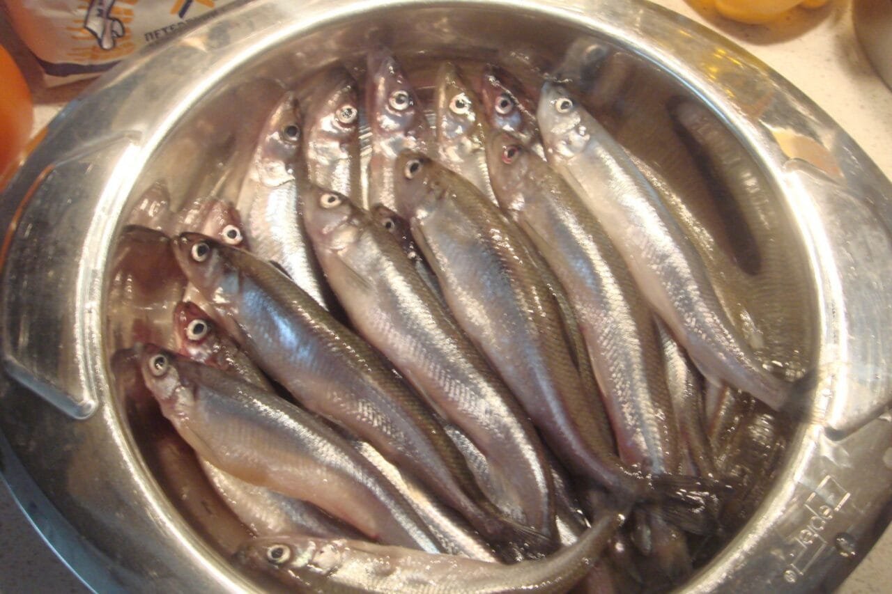 Stintos