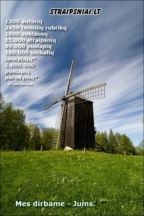 Straipsniai portalo reklama