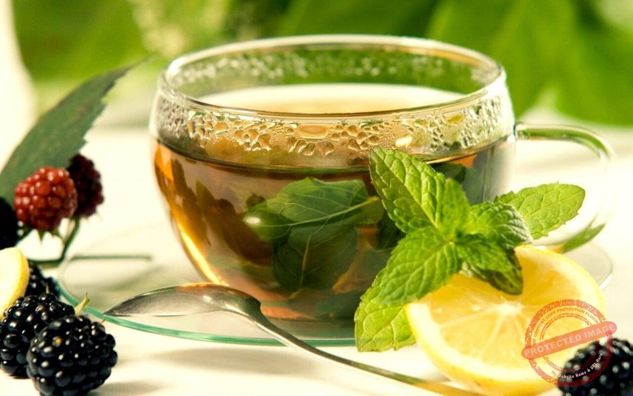 Tulsi Green Tea