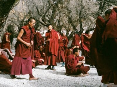 monks beside green trees