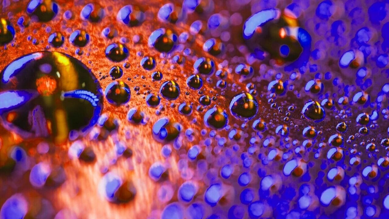 Water Drops Droplets Surface Cd Dvd 23