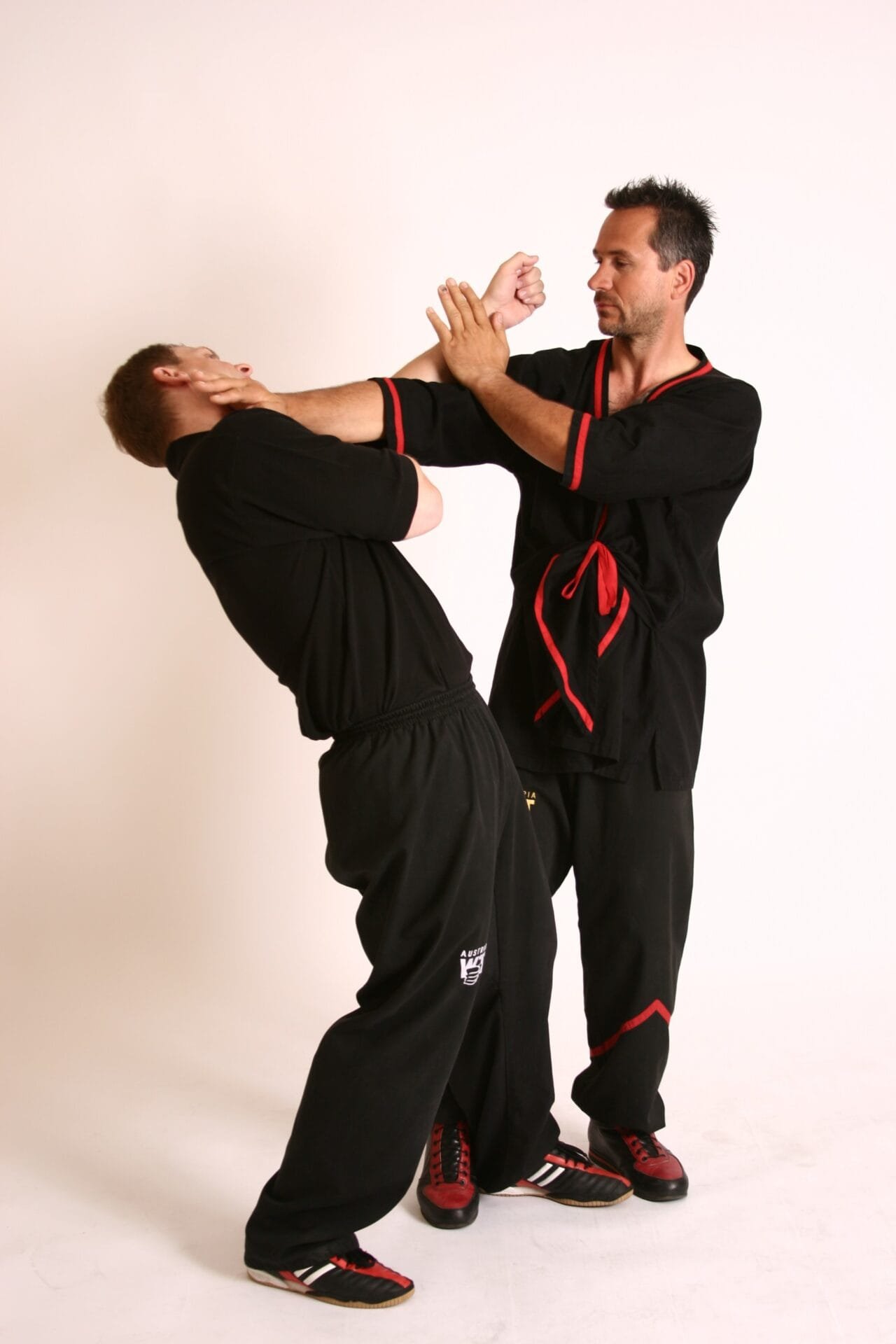 wingtsun 7 Straipsniai.lt
