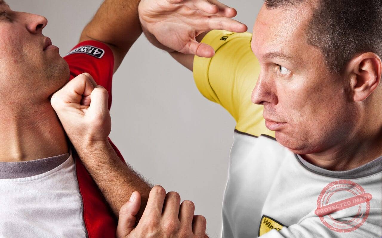 Wingtsun Neu.jpg