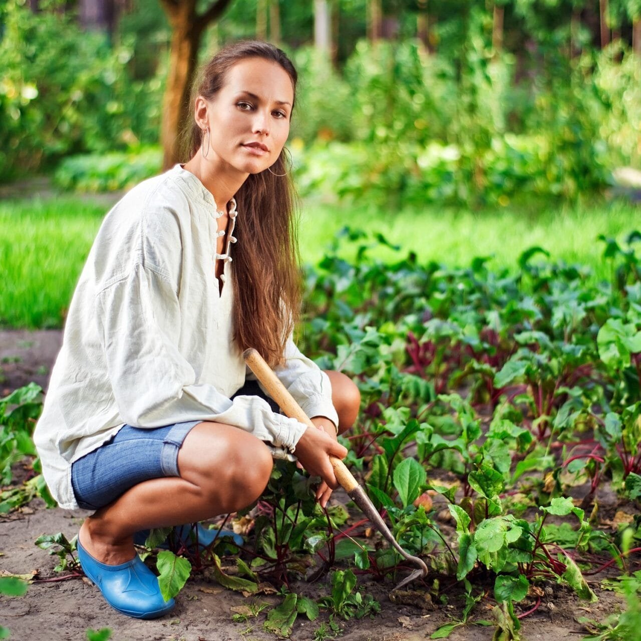 Woman Gardening Hoe