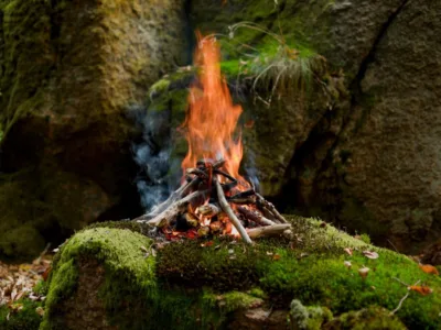 Laužų rūšys ir tipai